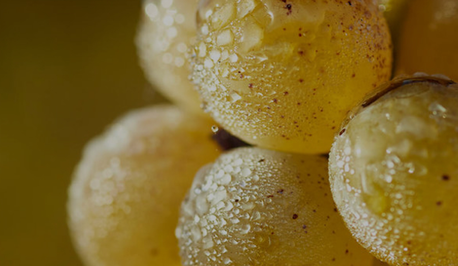 Liquoreux & Moelleux