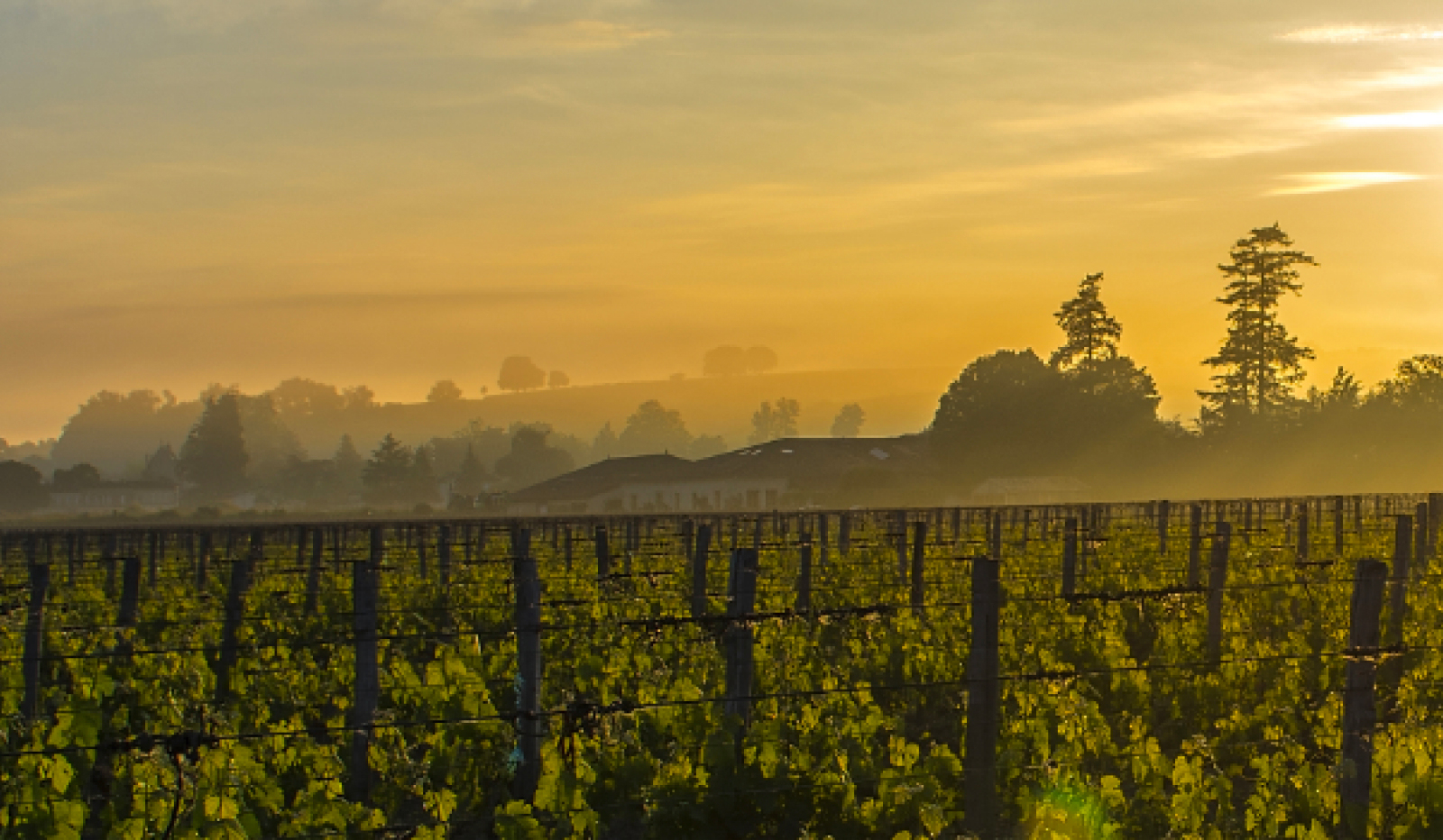 Côtes de Bordeaux & Fronsac