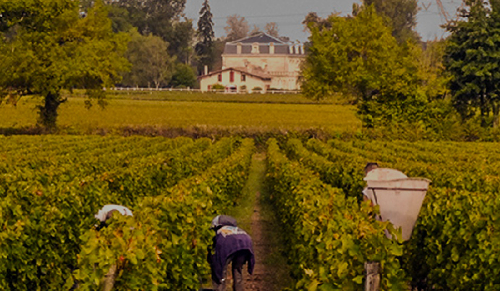 Pessac & Graves Rouges