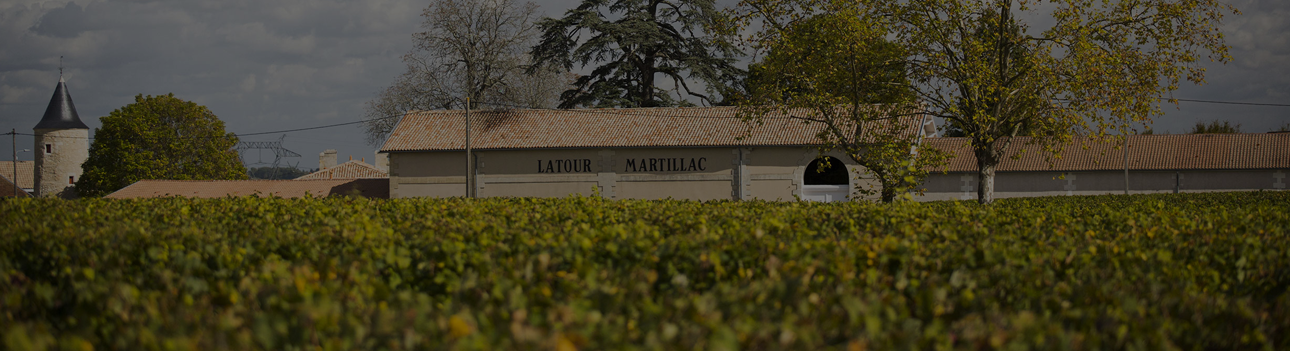Château Latour Martillac