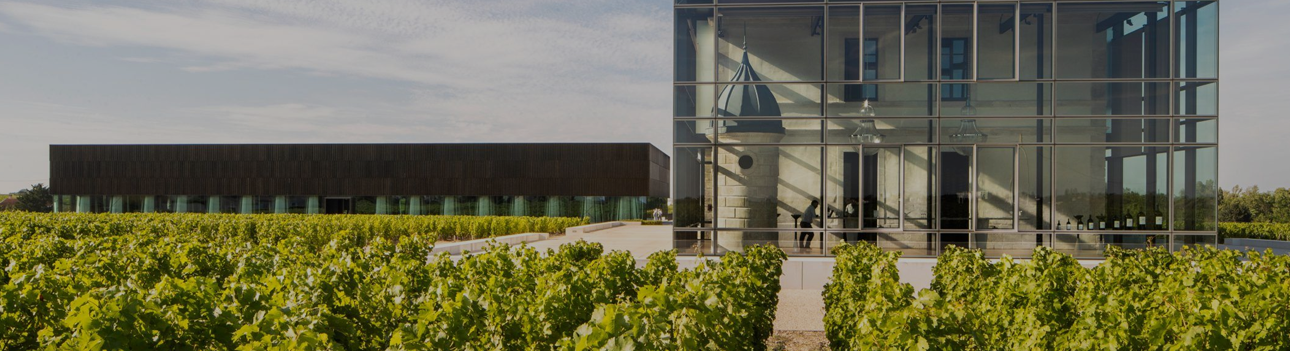 Château Pédesclaux