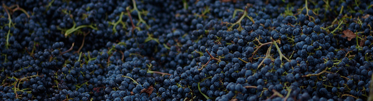 Château Puyblanquet