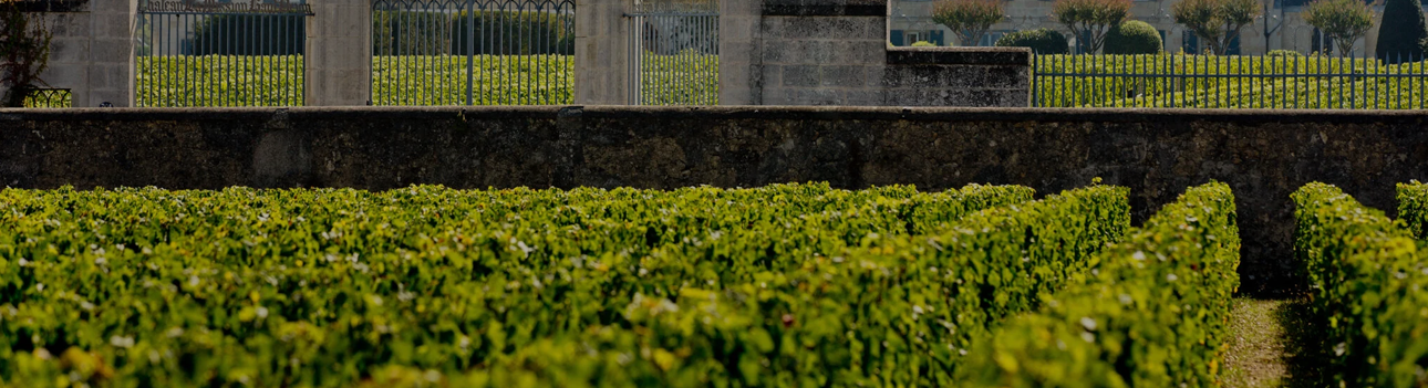 Château la Mission Haut-Brion