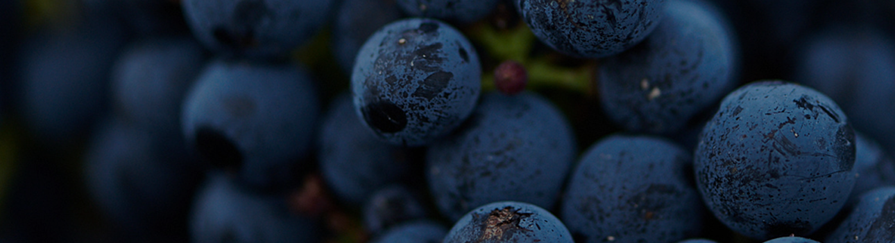 Château Leydet-Valentin